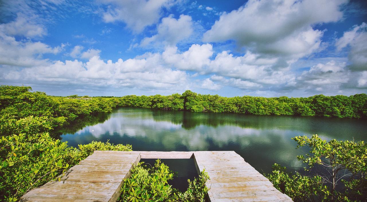 Hotel Nativus Glamping & Cenote Tulum Esterno foto