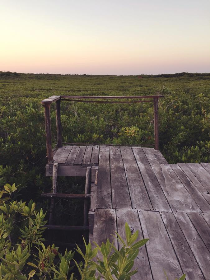 Hotel Nativus Glamping & Cenote Tulum Esterno foto