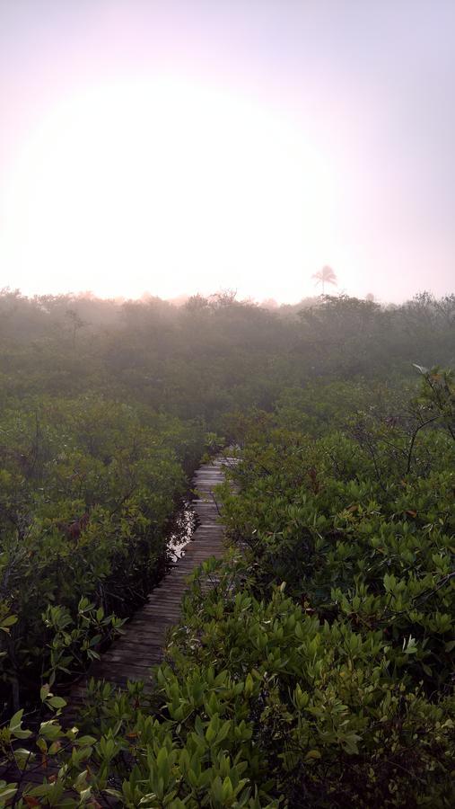 Hotel Nativus Glamping & Cenote Tulum Esterno foto